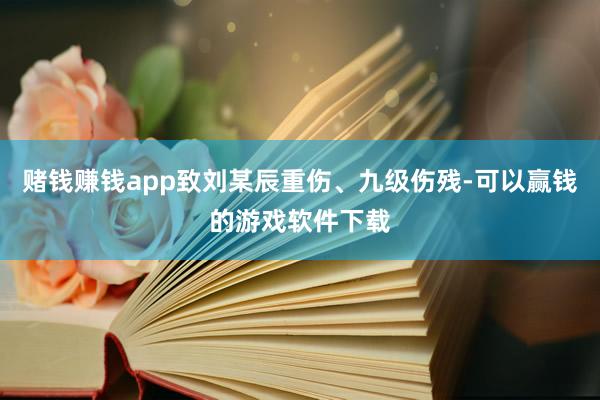 赌钱赚钱app致刘某辰重伤、九级伤残-可以赢钱的游戏软件下载