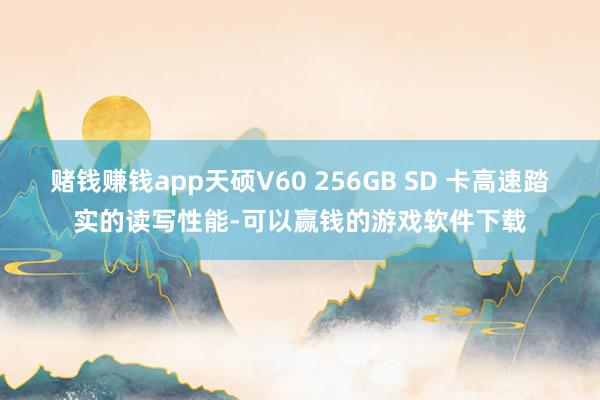 赌钱赚钱app天硕V60 256GB SD 卡高速踏实的读写性能-可以赢钱的游戏软件下载