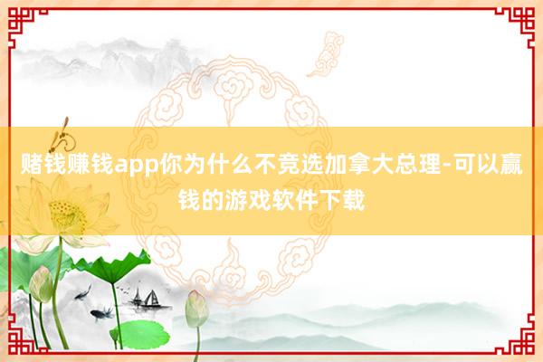 赌钱赚钱app你为什么不竞选加拿大总理-可以赢钱的游戏软件下载